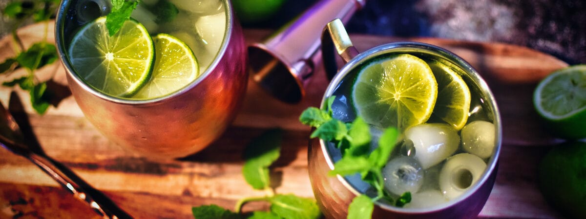 Einfaches Gin Mule Rezept