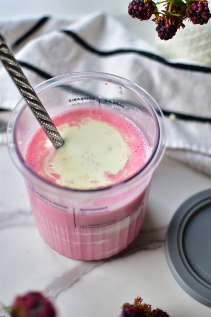 Die pinke Eisbasis aus pürierten Himbeeren und Sahne vor dem Einfrieren im Behälter.